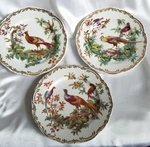 Andrea By Sadek - Exotic Birds 8 1/4" Salad Plate Set Of 3 Smithsonian. Fixed Price $90.00.